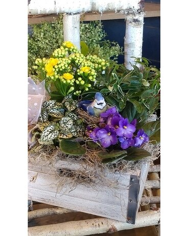 Indoor Rustic Garden Box Flower Arrangement