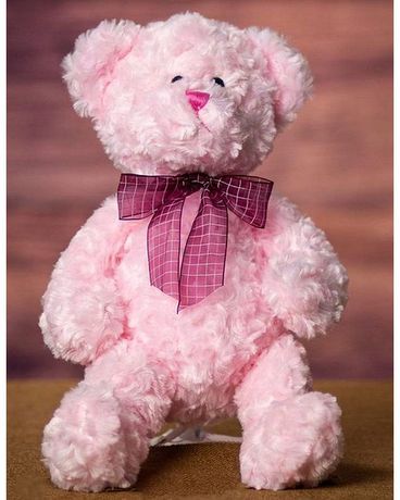 Baby Pink Teddy Bear Gifts
