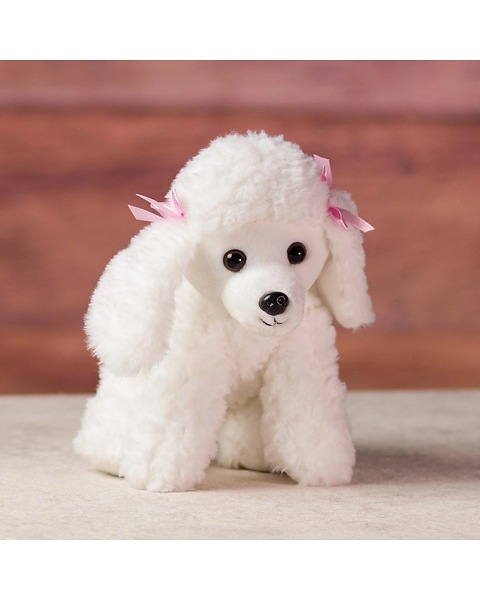 White Poodle in Kennesaw GA Kennesaw Florist