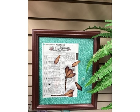 Pressed Flower Frame Gifts