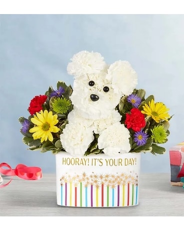 Party Pooch Flower Arrangement