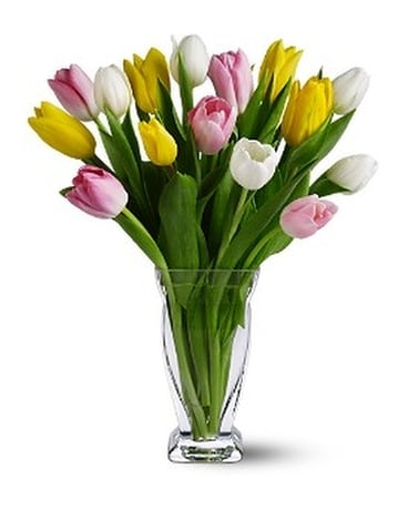15 Mixed Tulips Custom product