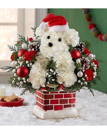 Santa Pawa Flower Arrangement