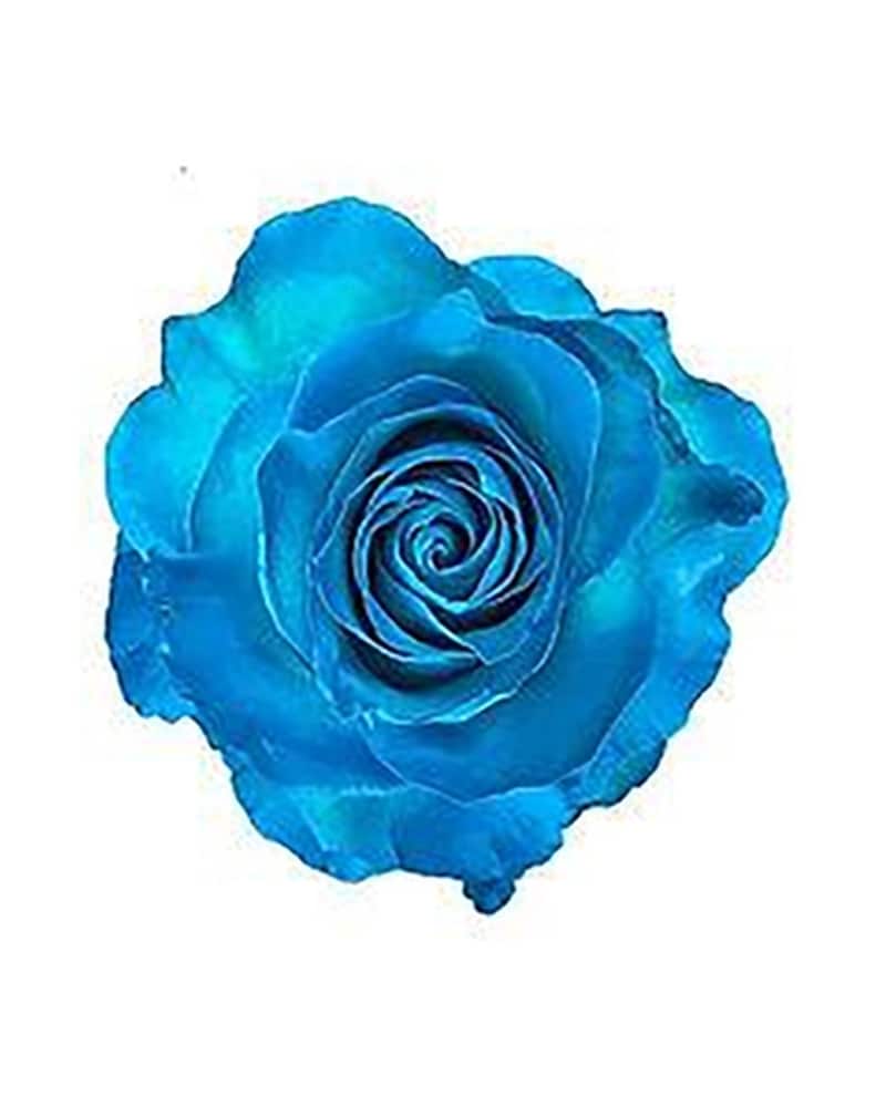 Blue rose☆様　オーダー専用ページ Columbia Blue Rose in Lansdale PA - Genuardi Florist