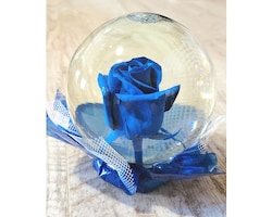 BLUE ROSE GLOBE size,  inches height and  inches wide.