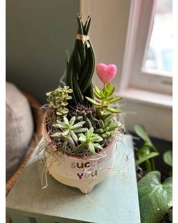 Designers Choice Plants Flower Arrangement