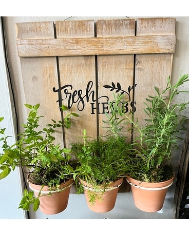 Herb Garden Hanger Plant