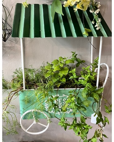Hanging Herb Cart Plant