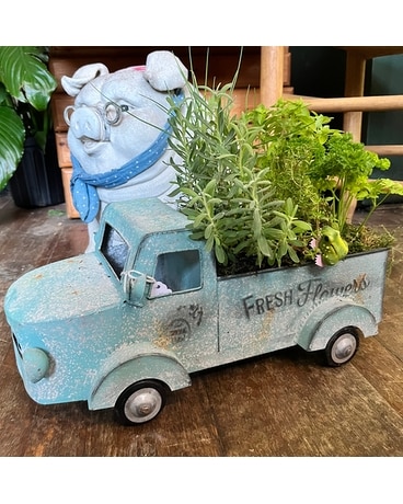 Truck Herb Planter Plant