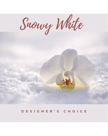 Snowy White Color Scheme