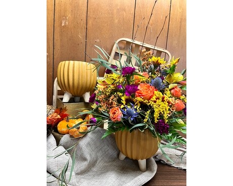 Mod Fall for All Custom product