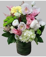 Premium size,  inches height and  inches wide.