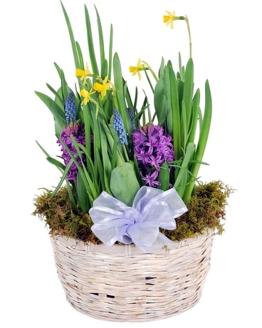 Watch It Grow Garden (Local Delivery Only) Flower Arrangement