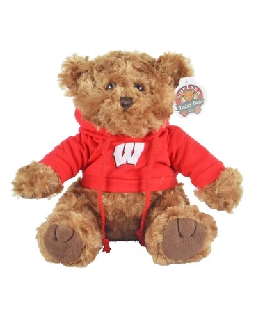 UW Plush Bear (Local Delivery Only) Gifts