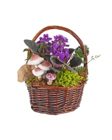 Marvelous Mushrooms (Local Delivery Only) Dish Garden Plant