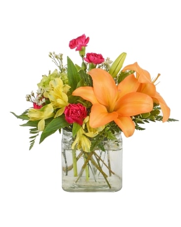 Starburst (Local Delivery Only) Flower Arrangement