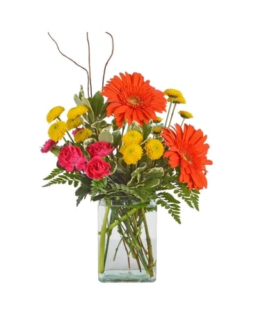 Purely Perfect (Local Delivery Only) Flower Arrangement