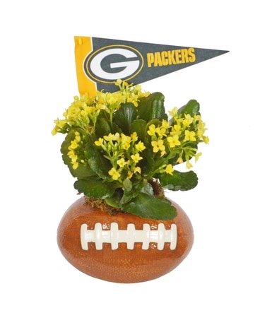 Packers Football Planter (Local Delivery Only) Dish Garden Plant