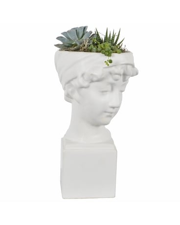 The Contessa (Local Delivery Only) Flower Arrangement