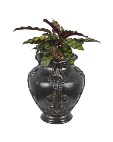 Cistern Planter (Local Delivery Only) Flower Arrangement