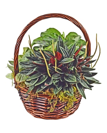 Nature's Harmony Basket Arrangement