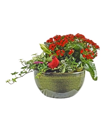 Green Holiday Ceramic Euro Planter Dish Garden Plant