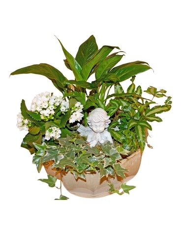 Sympathy Plants by Felly's Flowers Delivery Madison WI - Felly's Flowers