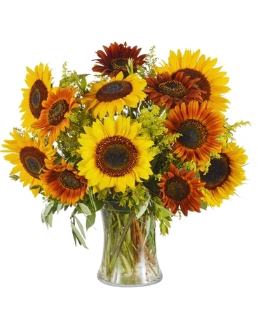 Sunshine Dozen (Local Delivery Only) Flower Arrangement