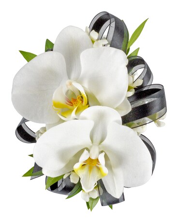 Orchid Corsage Corsage