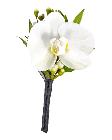Phalaenopsis Orchid Boutonniere Boutonniere