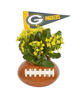 Packers Football Planter (Local Delivery Only) Dish Garden Plant