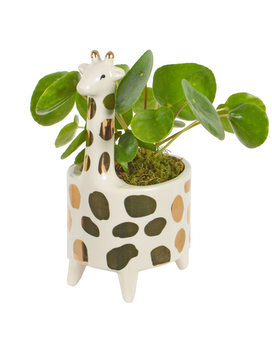 Geoffrey Giraffe Gold Planter Plant