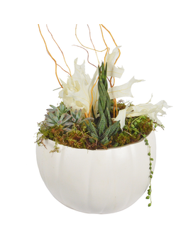 Standard size, 6.00 inches height and 8.00 inches wide.