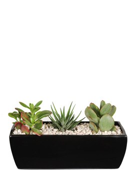 Black Planter size,  inches height and  inches wide.