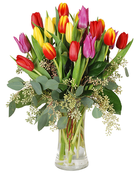 Tulip Rainbow (Local Delivery Only) Flower Arrangement