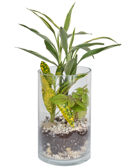 Large Cylinder Planter Dish Garden Plant