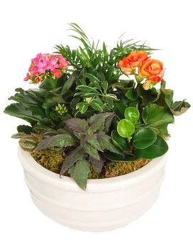 White Ceramic Euro Planter