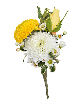 Mummy Boutonniere Flower Arrangement