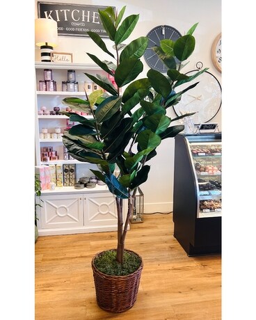 Large Faux Rubber Tree Plant
