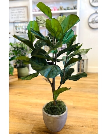 Medium Faux Fig Plant