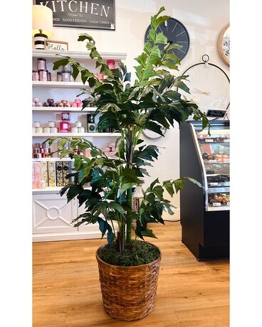 Large Faux Fishtail Palm Plant