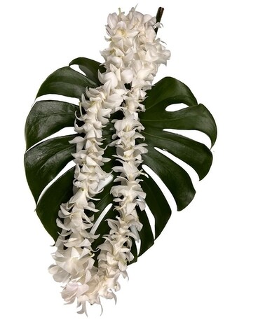 Single White Orchid Lei Flower Arrangement