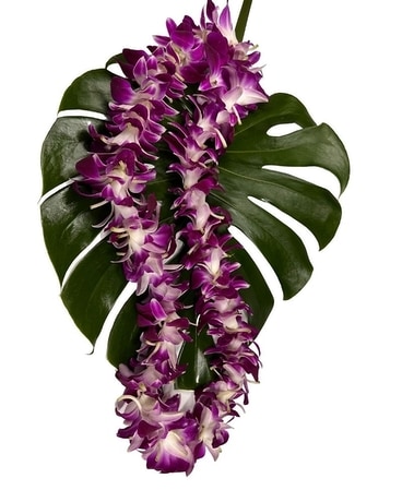 Single Purple Orchid Lei Flower Arrangement