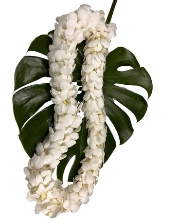 Double White Orchid Lei Flower Arrangement