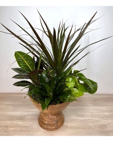 Designer Garden in Wood Urn Plant
