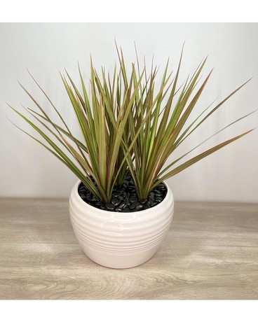 Standard size,  inches height and  inches wide.