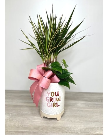 You Grow Girl Plant