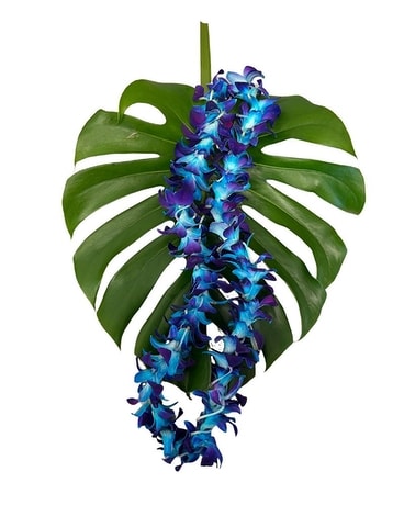 Single Blue Orchid Lei Flower Arrangement