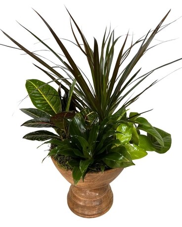Designer Garden in Wood Urn Plant