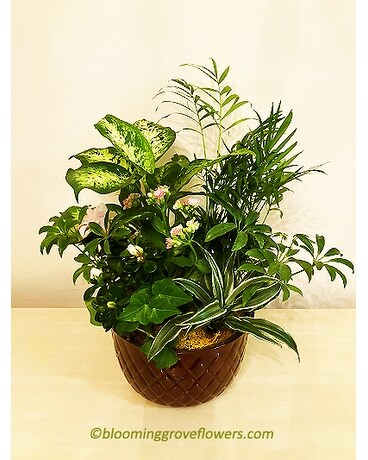BGF0014 Flower Arrangement